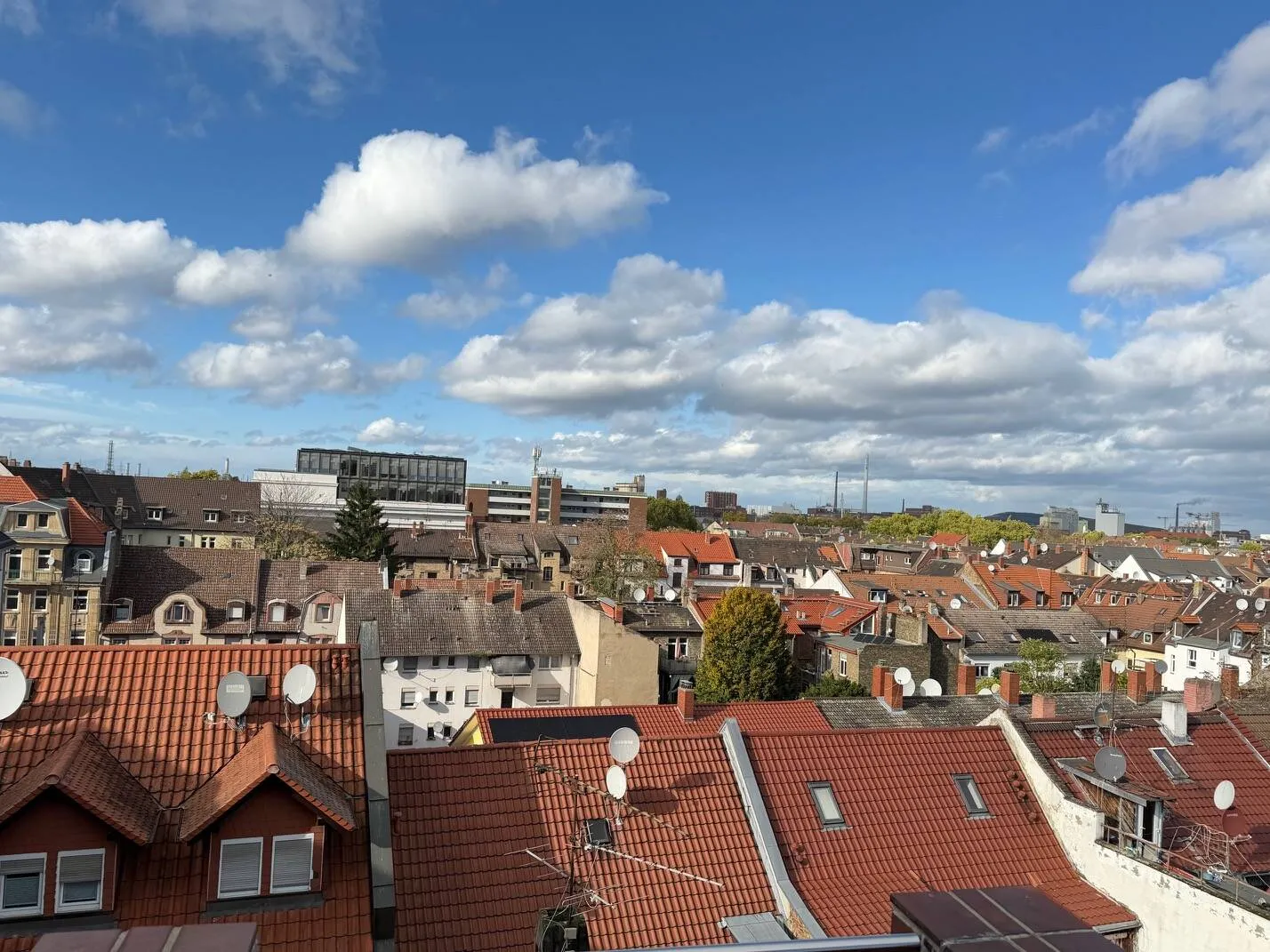 Immobilienangebot - Mannheim / Neckarstadt - Alle - Einmalige Gelegenheit: Stilvolles Mehrfamilienhaus direkt am Neckar - denkmalgeschützt